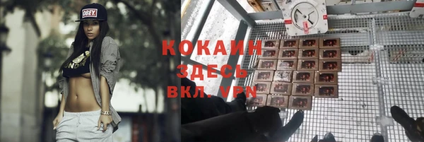 амф Корсаков