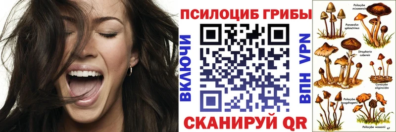 Купить закладки  Норильск  Псилоцибиновые грибы ЛСД 